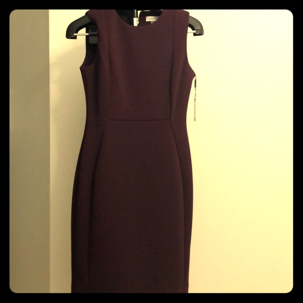 NWT Burgundy Calvin Klein Dress